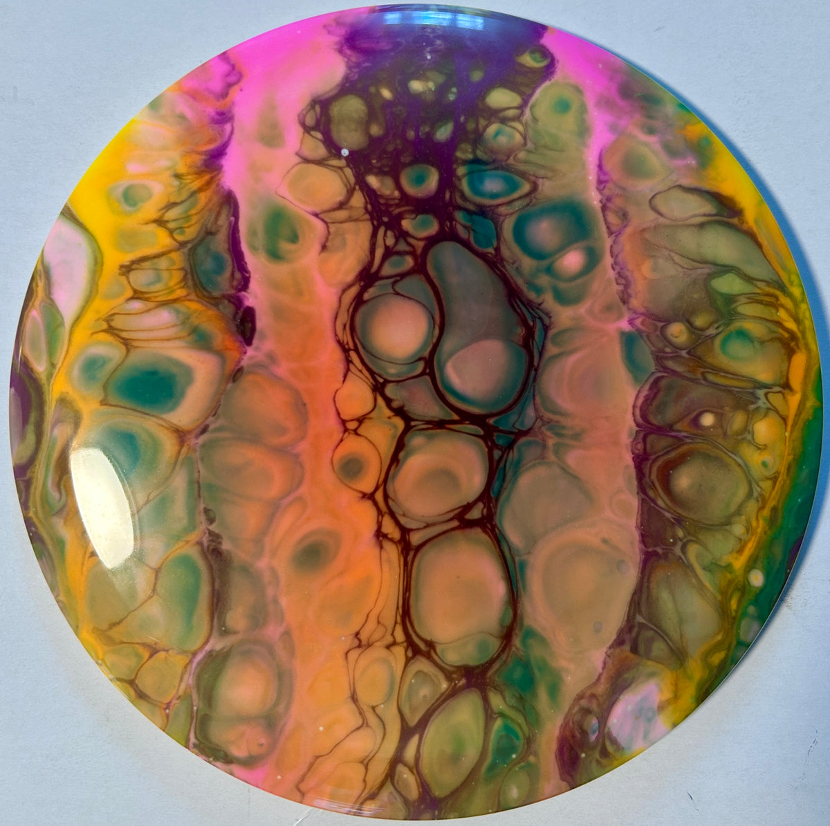 *Dyed* Roadrunner - Star