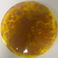 *Dyed* Instinct - Neo